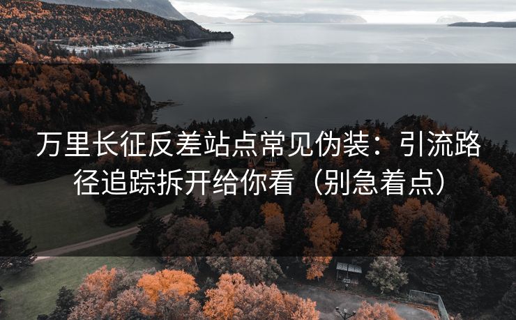 万里长征反差站点常见伪装：引流路径追踪拆开给你看（别急着点）
